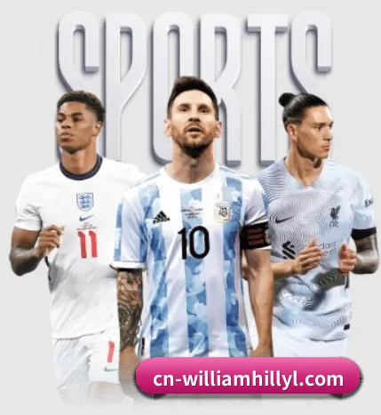 五大服务分区,信息按项目分类 | WilliamHill